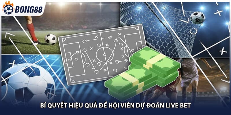 Bí quyết hiệu quả để hội viên dự đoán live bet
