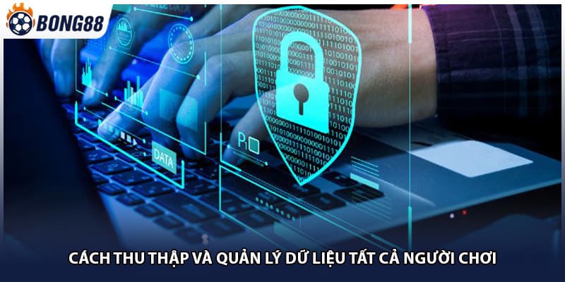 Cách thu thập và quản lý dữ liệu tất cả người chơi