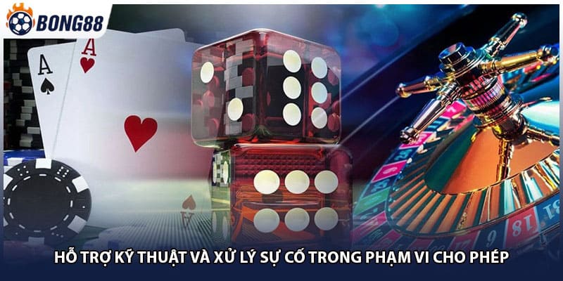 Hỗ trợ kỹ thuật và xử lý sự cố trong phạm vi cho phép